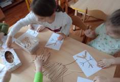 IMG_20240108_094920
