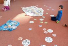 IMG_20240110_094933