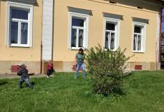 IMG_5817