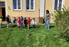 IMG_5828