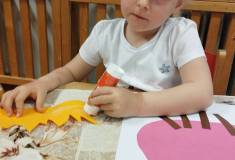 IMG_20250424_072248
