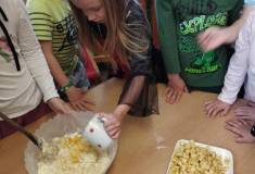 IMG_20260428_081845