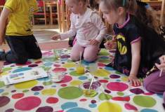 IMG_20260428_095003