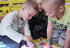 IMG_20260428_095015