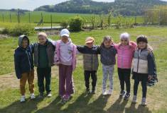 IMG_20260428_110628