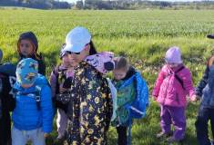 IMG_20260430_084222