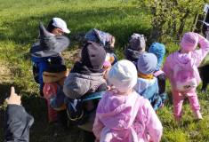 IMG_20260430_084551