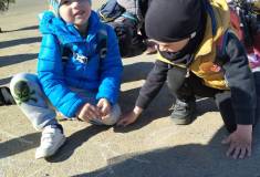 IMG_20260430_085832