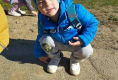 IMG_20260430_085909