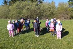 IMG_20260430_090515