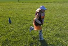 IMG_20260430_090737