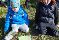 IMG_20260430_091543