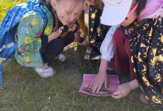 IMG_20260430_091622