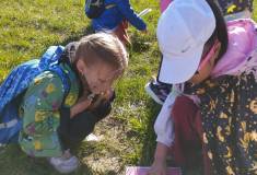 IMG_20260430_091624