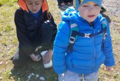 IMG_20260430_092722