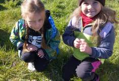 IMG_20260430_092932