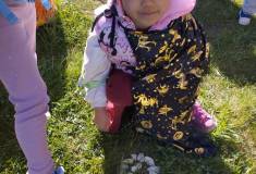 IMG_20260430_093034
