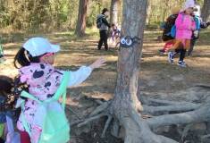 IMG_20260430_093551