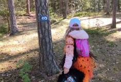IMG_20260430_093612