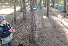 IMG_20260430_093625