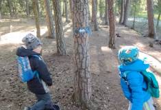 IMG_20260430_093627