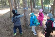 IMG_20260430_093631