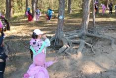 IMG_20260430_093712