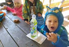 IMG_20260430_094908