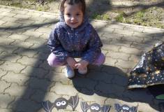 IMG_20260430_095702