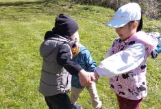 IMG_20260430_101217