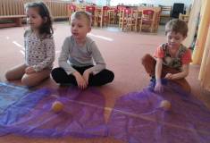 IMG_20250320_094610