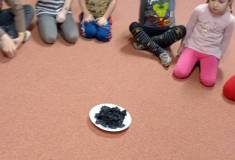 IMG_20251202_084043