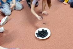 IMG_20251202_085030