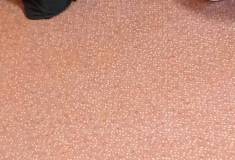 IMG_20251202_085325