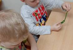 IMG_20251205_081955
