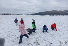 IMG_20231129_113421