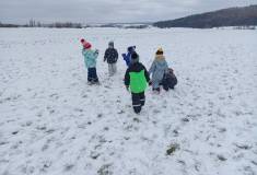 IMG_20231129_113445