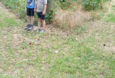 IMG_20250624_093518