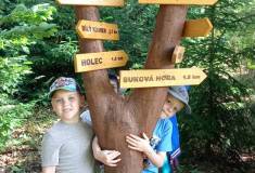 IMG_20250624_094143