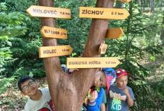 IMG_20250624_094149