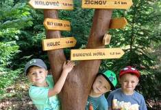 IMG_20250624_094159