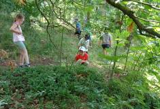 IMG_20250624_095540