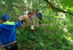 IMG_20250624_095722