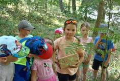 IMG_20250624_095735