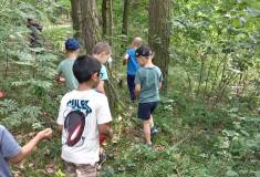IMG_20250624_100106