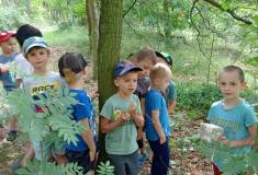 IMG_20250624_100218