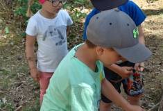 IMG_20250624_101905