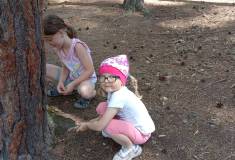 IMG_20250624_102015
