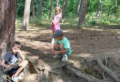 IMG_20250624_102022