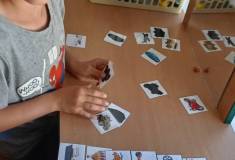 IMG_20260604_082445